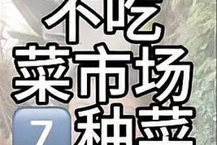 切尔西vs小蜜蜂数据：射门17-14 射正6-5 控球率69%-31%